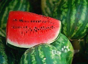 排泄瓜可以吃吗,揭秘排泄瓜的食用之谜