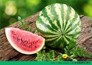 小产可以吃烧瓜吗,烧瓜的益处与食用建议