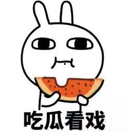 吃瓜爆料绝对领域,绝对领域背后的惊人真相