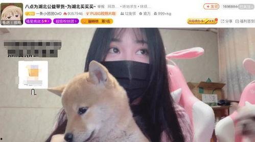 小团团吃瓜,揭秘娱乐圈那些不为人知的幕后故事