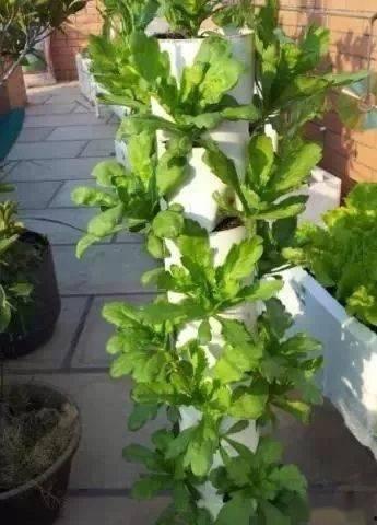 阳台一家人吃瓜,一家人的温馨时光