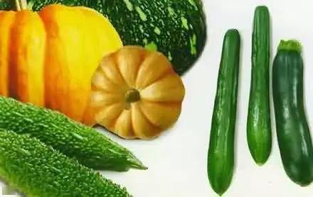 大留镇吃瓜,瓜香四溢,品味乡村美食之旅