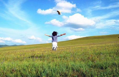 放飞自我系列满地吃瓜