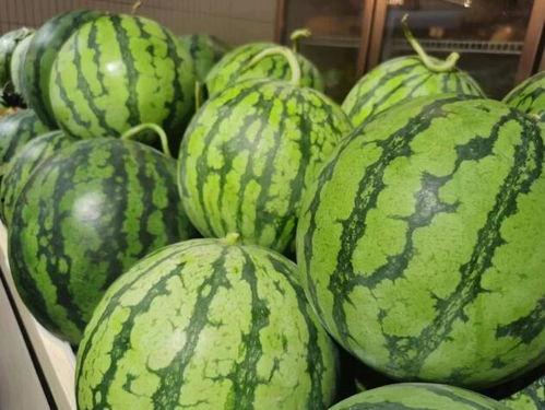 流麻吃瓜,揭秘娱乐圈幕后故事