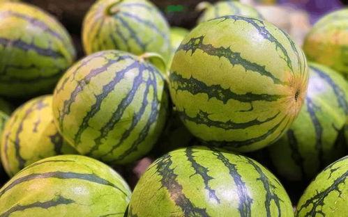 生瓜蛋咋吃,探索美味新境界