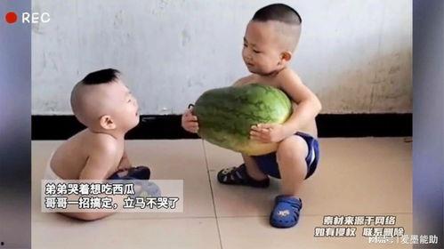 哭着吃瓜,见证人生百态的感人瞬间