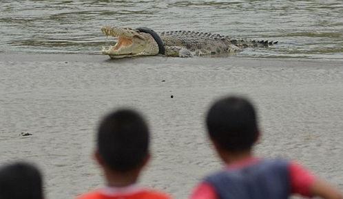 小伙吃霸王瓜,小伙勇吃霸王瓜，挑战味蕾极限