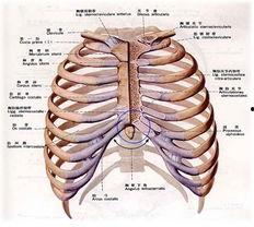 吃瓜摔断肋骨,小心“甜蜜陷阱”
