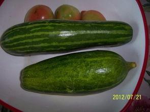 江西鹰潭贵溪吃瓜,夏日消暑新体验