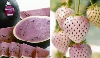 西瓜留瓜后多久摘心吃瓜