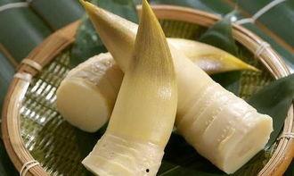 吃竹笋可以吃籽瓜嘛,探索两者的美味搭配