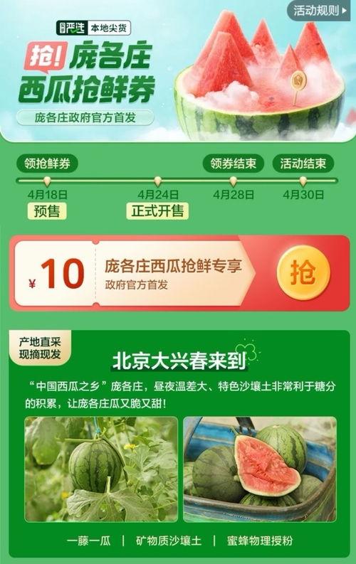 在线吃瓜券,轻松解锁网络娱乐新体验