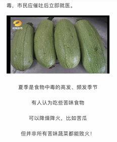 不能吃瓜瓜吃瓜,揭秘“不能吃瓜瓜吃瓜”背后的趣味与哲理