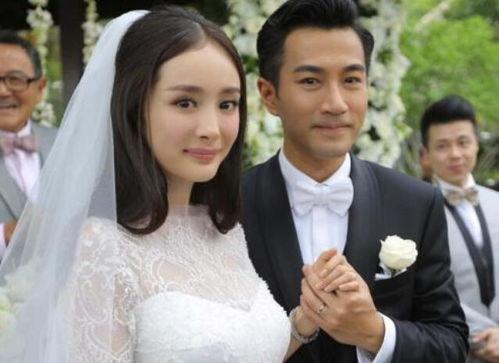 哪些明星离婚吃瓜,明星离婚潮，揭秘背后的情感纠葛与瓜田秘闻